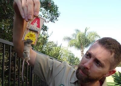 Marietta pest control